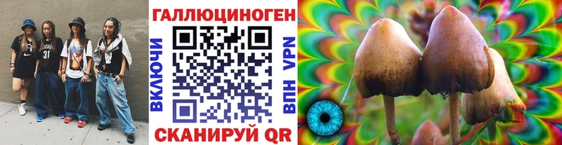 Псилоцибиновые грибы прущие грибы  Углич 